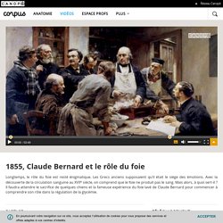 1855, Claude Bernard et le rôle du foie - Corpus - réseau Canopé (2'49)