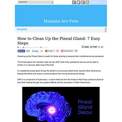 How to Clean Up the Pineal Gland