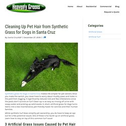 How to Clean Pet Hair from Synthetic Grass for Dogs in Santa Cruz