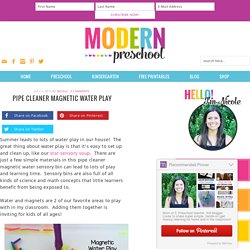 Pipe Cleaner Magnetic Water Play - Modern Preschool