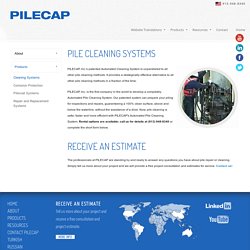 Pile Cleaning Systems