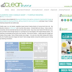 Cleaning With Castile Soap – 11 Simple Recipes