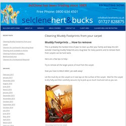 Cleaning Muddy Footprints from your carpet - SelClene Herts Domestic Cleaning Services