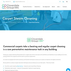 Carpet Cleaning Services Geelong Area