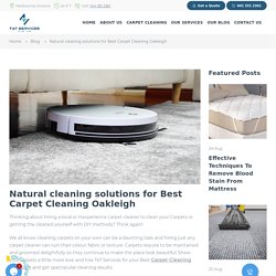 Carpet Cleaning Oakleigh
