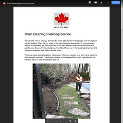 Drain Cleaning Plumbing Service.pdf