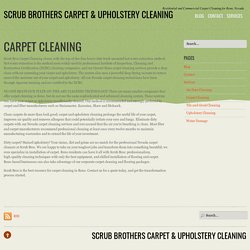 Best Carpet Cleaning Services in Reno, Nevada - Scrub Brothers