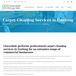 Professional Carpet Cleaning Steam Service Geelong