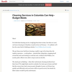 Cleaning Services in Columbia Can Help - Budget-Maids