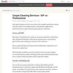 Carpet Cleaning Services - DIY vs Professional