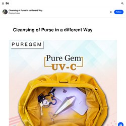 Cleansing of Purse in a different Way