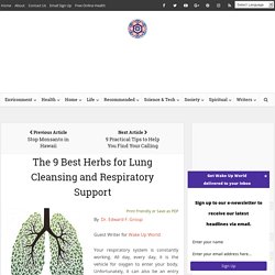 The 9 Best Herbs for Lung Cleansing and Respiratory Support