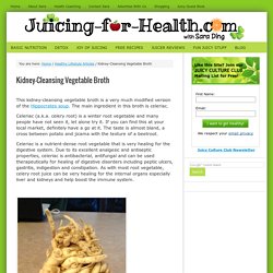 Kidney-Cleansing Vegetable Broth — Juicing For Health