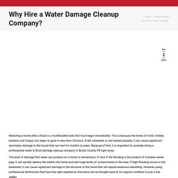 Why Hire a Water Damage Cleanup Company? - First Choice Restoration