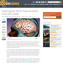 Clearing the Mind: How the Brain Cuts the Clutter