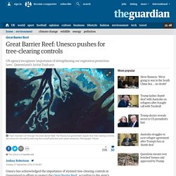 Great Barrier Reef: Unesco pushes for tree-clearing controls