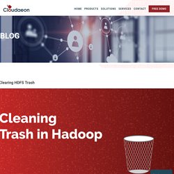 Clearing HDFS Trash