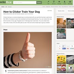 How to Clicker Train Your Dog: 11 Steps