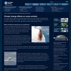 Climate change: the effects on ocean animals