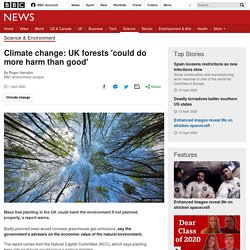 Climate change: UK forests 'could do more harm than good'