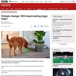 Climate change: Will insect-eating dogs help?