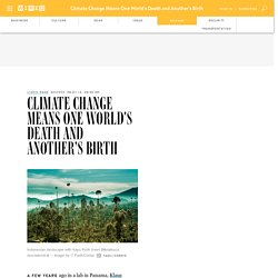 Climate Change Means One World's Death and Another's Birth