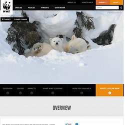 WWF: Climate Change