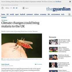 Climate changes could bring malaria to the UK