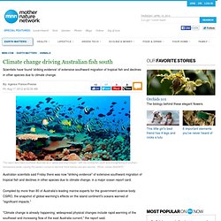 Climate change driving Australian fish south