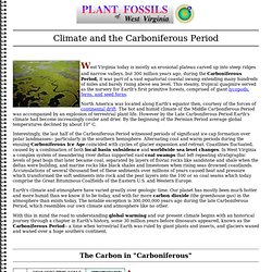 Climate during the Carboniferous Period