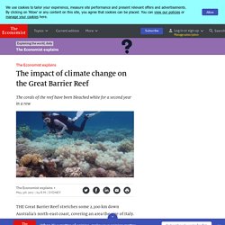 The impact of climate change on the Great Barrier Reef - The Economist explains