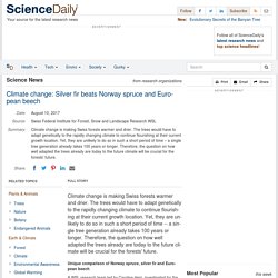 SCIENCE DAILY 10/08/17 Climate change: Silver fir beats Norway spruce and European beech