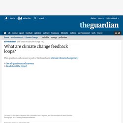 What are climate change feedback loops?