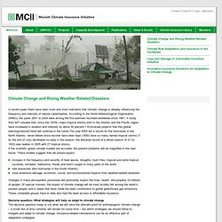 Munich Climate-Insurance Initiative