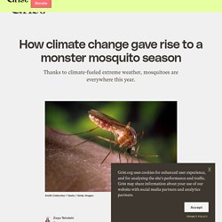 24 sept. 2021 How climate change gave rise to a monster mosquito season