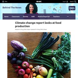 Climate change report looks at food production - Newsbreak - Behind The News - BTN