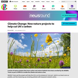 Climate Change: New nature projects to help cut UK's carbon - CBBC Newsround