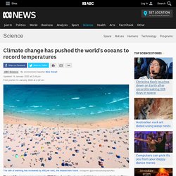 Climate change has pushed the world's oceans to record temperatures - Science News - ABC News