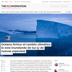 Océano Ártico: el cambio climático lo está inundando de luz (y de nuevas especies)