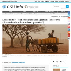 Les conflits et les chocs climatiques aggravent l’insécurité alimentaire dans de nombreux pays (FAO)