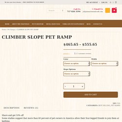 Climber Slope Pet Ramp