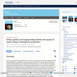 Clinical, genetic and imaging findings identify new causes for corpus callosum development syndromes