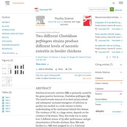 Poultry Science Volume 98, Issue 12, December 2019, Two different Clostridium perfringens strains produce different levels of necrotic enteritis in broiler chickens