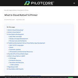 What Is Cloud Native? A Primer