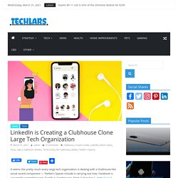 LinkedIn is Creating a Clubhouse Clone Large Tech Organization