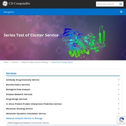 Series Test of Cluster Service - CD ComputaBio