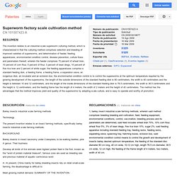 Patente CN101507423A - Superworm factory scale cultivation method - Google Patentes