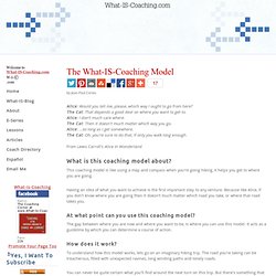 Coaching Model and Methodology