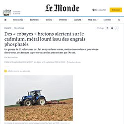 Des « cobayes » bretons alertent sur le cadmium, métal lourd issu des engrais phosphatés