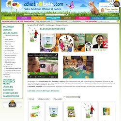 vente kit d'élevages de coccinelles, papillons, phasmes - Achatnature.com